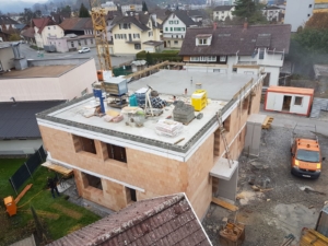 Hämmerle Lustenau 7